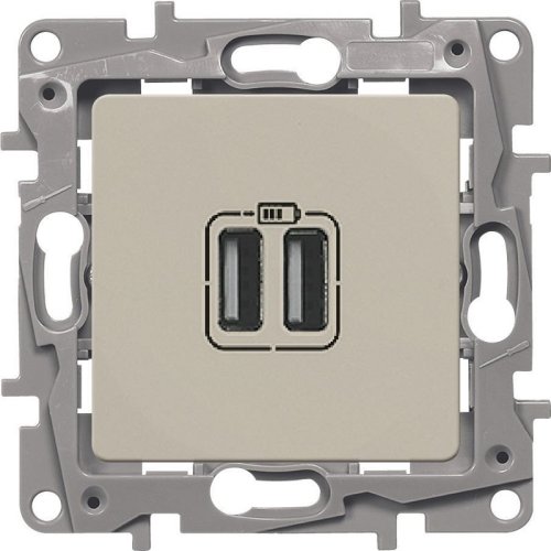 Розетка USB тип A+A без рамки Legrand Etika 2-м. 2400мА слоновая кость картинка